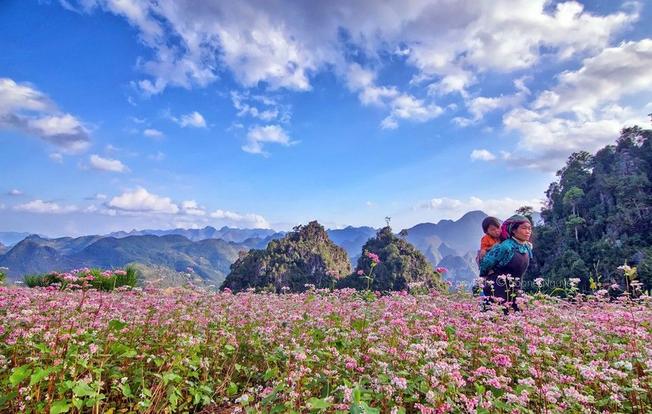 Du Lịch Hà Giang 4 Ngày 3 Đêm